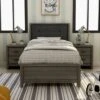 Aury Transitional Grey Wood 3-piece Panel Bedroom Set With 2 Nightstands By Furniture Of America - Twin